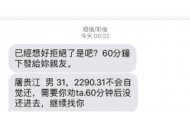 漯河为什么选择专业追讨公司来处理您的债务纠纷？